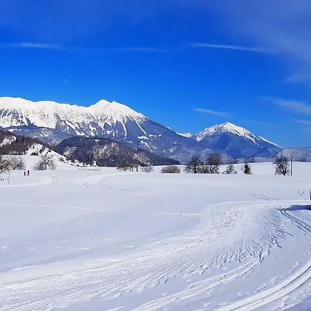 Perla Apartament Zgornje Gorje