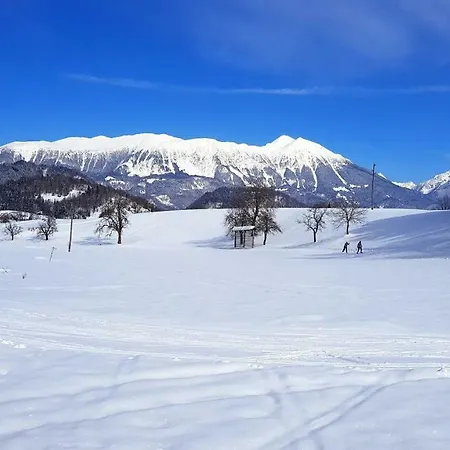 Perla Apartament Zgornje Gorje