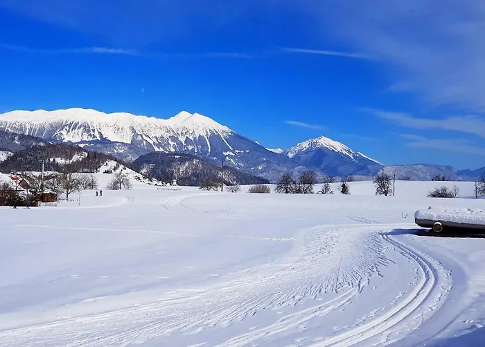 Perla Apartma Zgornje Gorje