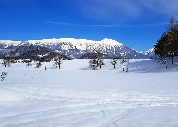 Perla Apartma Zgornje Gorje
